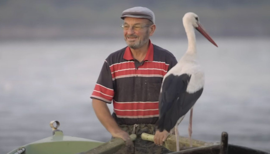 Yaren leylek geldi mi Baharın müjdecilerinden Yaren leylek geri döndü mü Yaren leylek geldi mi Baharın müjdecilerinden Yaren leylek geri döndü mü