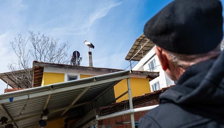 Bursada bahar heyecanı: 15inci buluşma için bekleniyor Nazlı 20 gün erken geldi, Yarenin gelmesini dört gözle bekliyorum