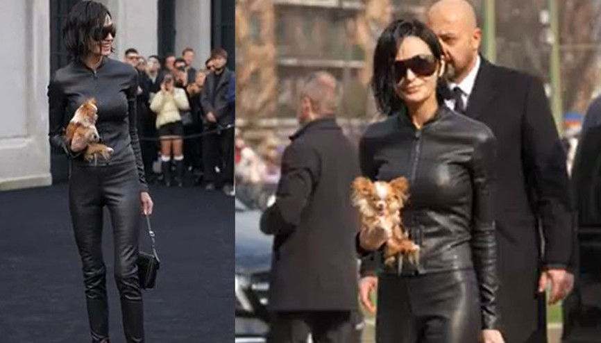 Kucağında köpeği olmasa kimse tanımayacaktı: Çabuk söyle, kimsin sen