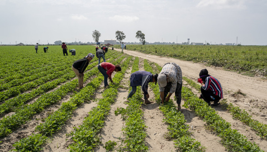 Çocuğunu okula göndermeyene para cezası