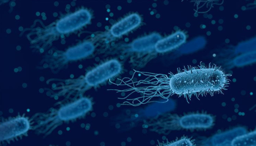 Bağırsak kanserinin nedeni bir virüs mü