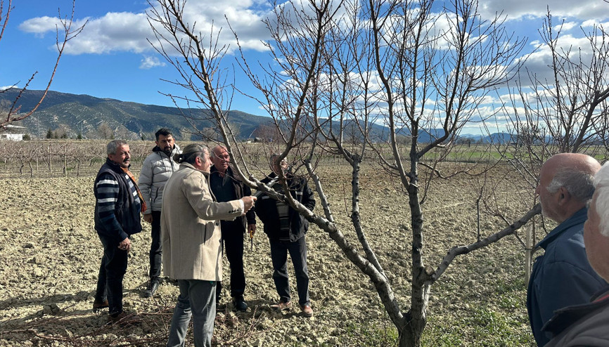 Üreticilere budama eğitimi