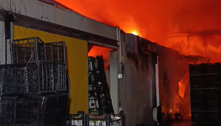 Antalyada muz paketleme ve sarartma tesisinde yangın