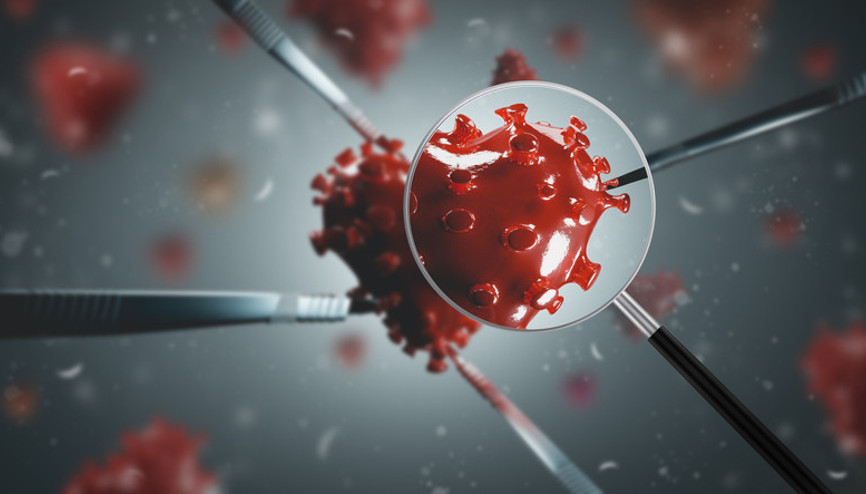 25 milyondan fazla insanın ölümüne yol açmıştı... Covid-19 hakkında çarpıcı gerçekler ortaya çıktı Pandemilerin kökenine dair kritik bir ipucu keşfedildi 25 milyondan fazla insanın ölümüne yol açmıştı... Covid-19 hakkında çarpıcı gerçekler ortaya çıktı Pandemilerin kökenine dair kritik bir ipucu keşfedildi