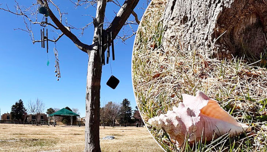 Çocukları milyonluk miras için birbirine girdi... Ünlü oyuncunun bir mezar taşı bile yok... Baş ucunda bir deniz kabuğu