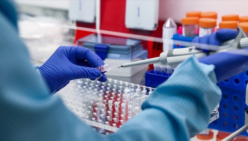1800 erkeğe DNA testi