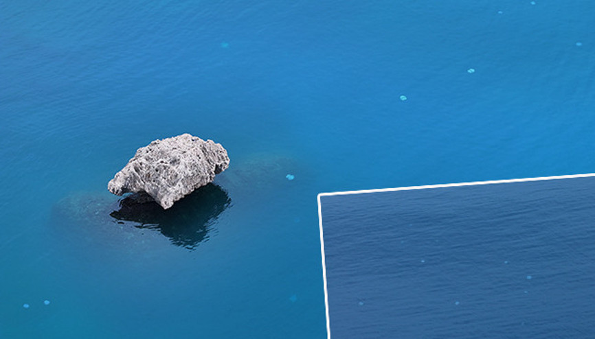 Kızıldeniz üzerinden Antalya kıyılarına geldi: Sürüler halinde geçiş yapıyorlar Hayatımda ilk defa böyle bir şey başıma geldi