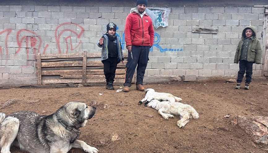 Köyde gizemli olay: Besici hayatının şokunu yaşadı