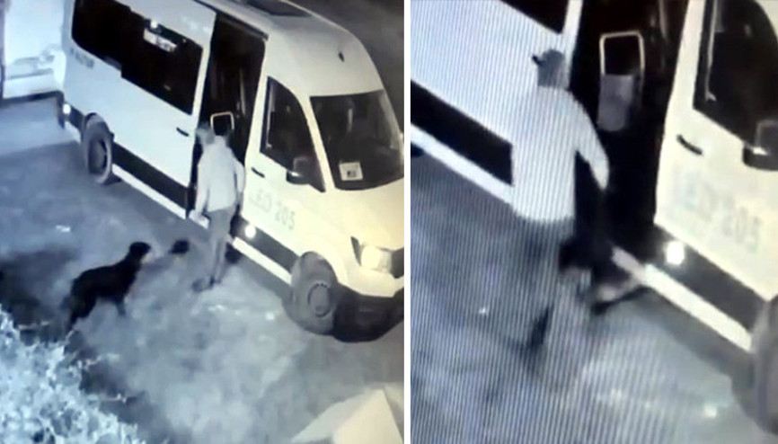 Mahallenin maskotu Garip ortadan kaybolmuştu: Kameraları kontrol edilince gerçek ortaya çıktı