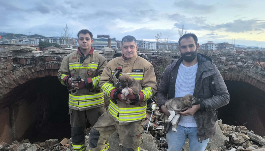 Turgutlu’da kuyuya düşen 3 yavru köpeği itfaiye kurtardı