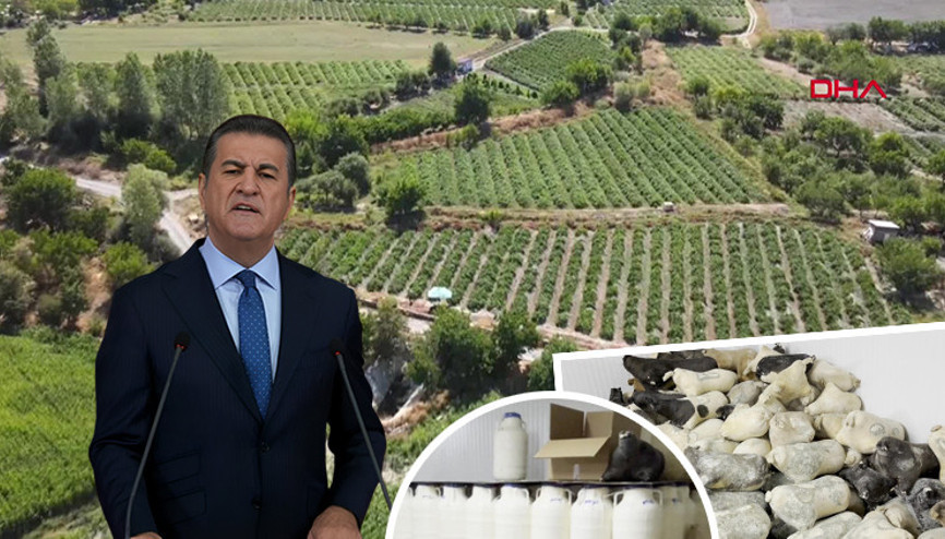 Mustafa Sarıgülü sevindirecek haber | Sık sık methediyordu: Slow Food Ark of Taste listesine alındı