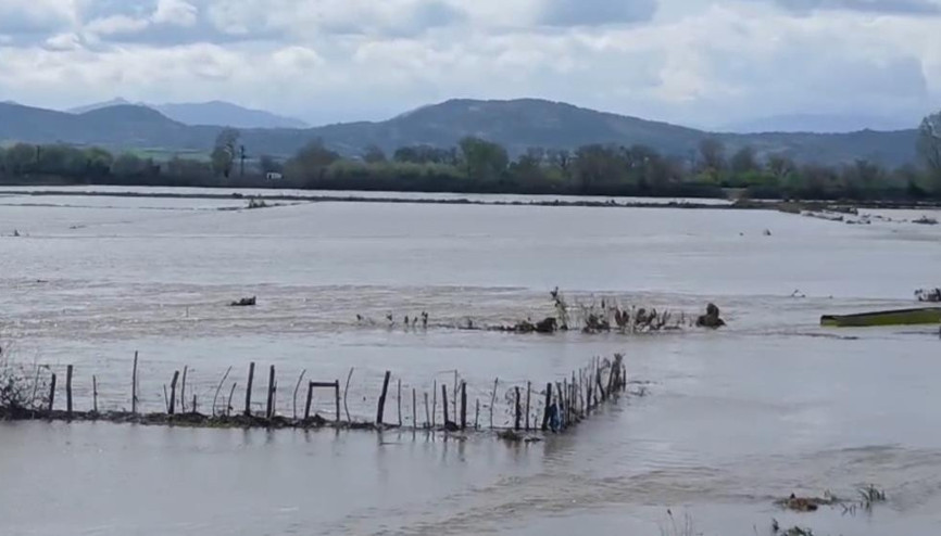 Meriç Nehri taştı, sular yollara ulaştı