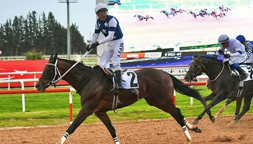 Adana’da Akdeniz Derbisi’nin kazananı ‘Dapper Man’ oldu