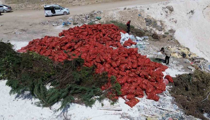 Ticaret Bakanlığı araziye dökülen soğanlar için çalışma başlattı