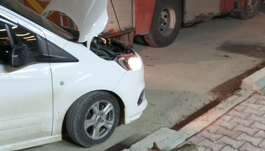 Mardin’de hafif ticari aracın motor bölümünde doğan 4 yavru kedi, kurtarıldı Mardin’de hafif ticari aracın motor bölümünde doğan 4 yavru kedi, kurtarıldı