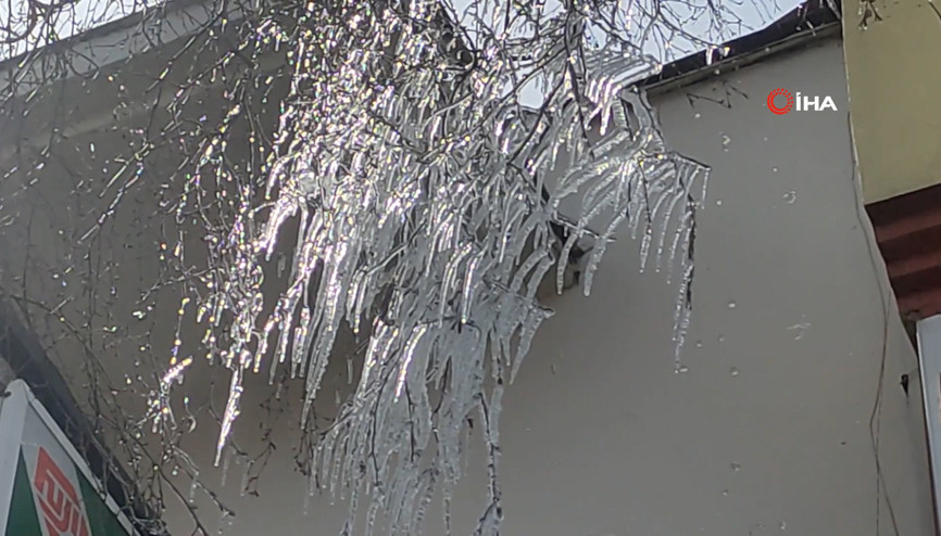 Hava sıcaklığı eksi 10a düştü, ağaç dalları dondu