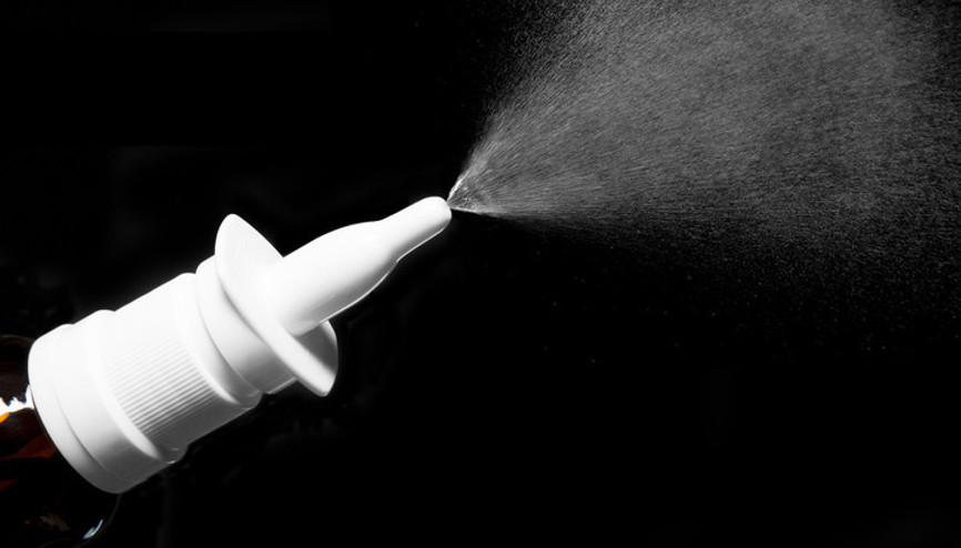 Burun spreyi farelerde hafızayı geri getirdi Burun spreyi farelerde hafızayı geri getirdi