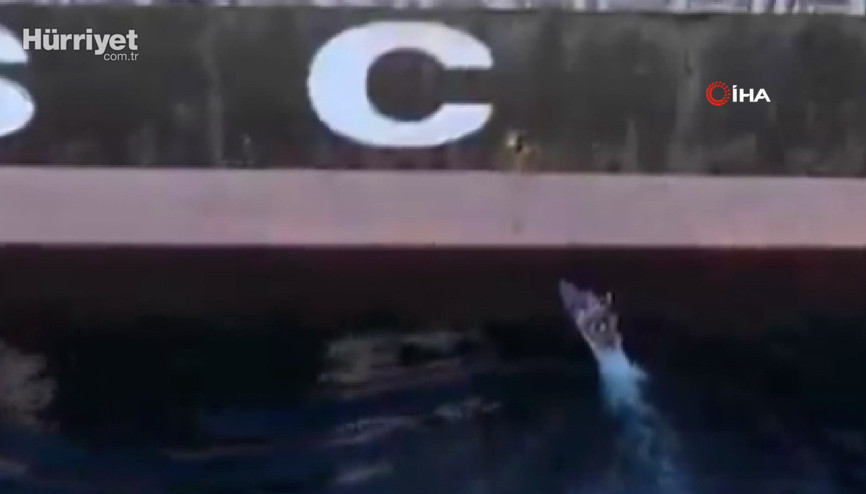 İran, Hürmüz Boğazı’nda 2 gemiye el koyduğu operasyonun görüntülerini yayınladı