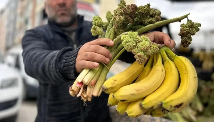 Yayla muzu uçkun tezgaha çıktı