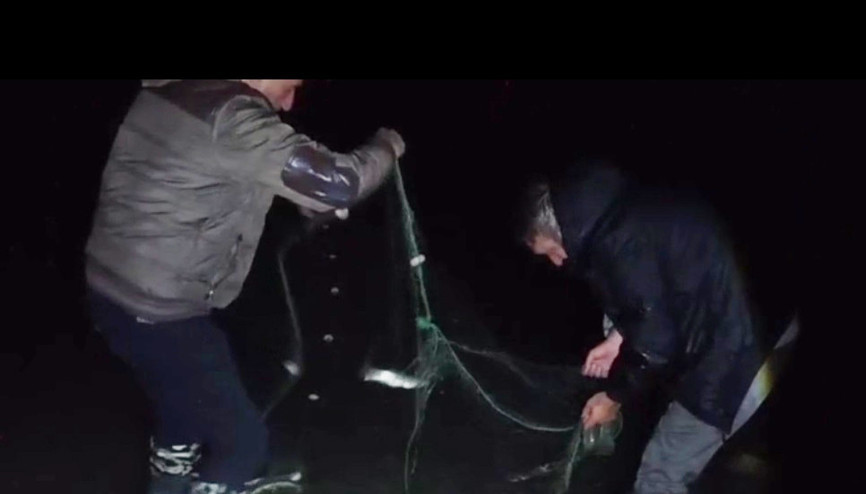 Vanda kaçak avlanan 100 kilo canlı inci kefali tekrar suya bırakıldı
