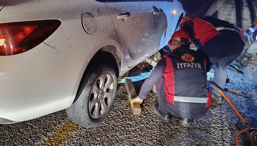 Sürüye çarpan otomobildeki 2 kişi yaralandı, 40 koyun öldü