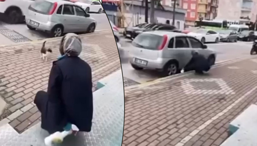 Kedinin yüzüne sprey sıkan market çalışanı gözaltına alındı
