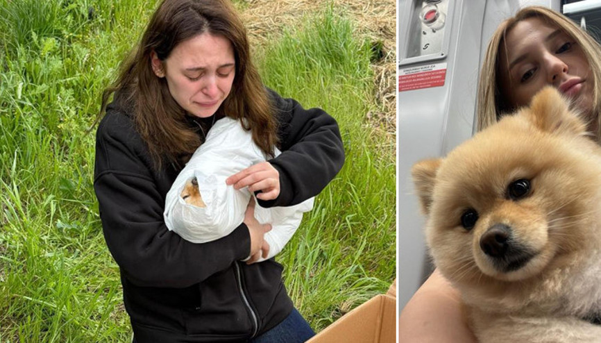 Petshopta yıkanan köpeğin ihmalden öldüğü iddiası İki kere ip takılıyor, baskı uygulanıyor