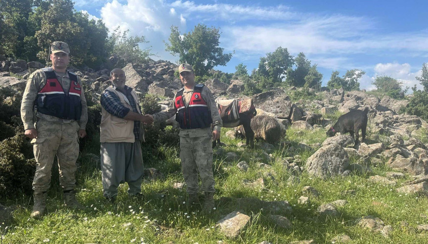 Kilis’te, kayıp hayvan bulundu