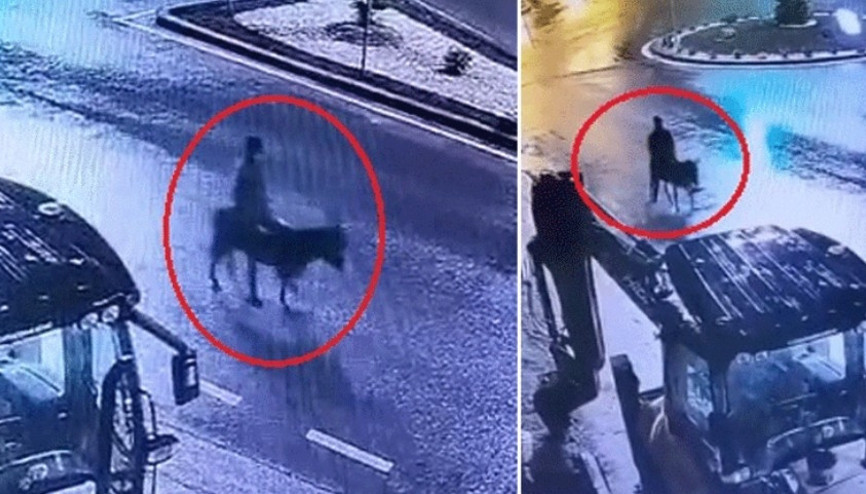 Kuyumcudan altınları çalıp eşekle kaçırmıştı… Cezası belli oldu