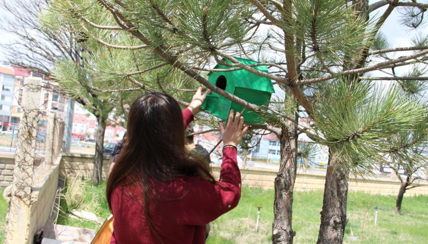 Şarkışlada kuş ve kediler için yuva etkinliği