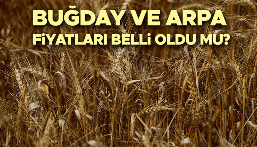 BUĞDAY FİYATLARI 2026 NE ZAMAN AÇIKLANACAK | TMO Hububat, arpa ve buğday alım fiyatı açıklandı mı, ne kadar oldu Güncel buğday fiyatları (ekmeklik, makarnalık buğday ve arpa) belli oldu mu BUĞDAY FİYATLARI 2026 NE ZAMAN AÇIKLANACAK | TMO Hububat, arpa ve buğday alım fiyatı açıklandı mı, ne kadar oldu Güncel buğday fiyatları (ekmeklik, makarnalık buğday ve arpa) belli oldu mu