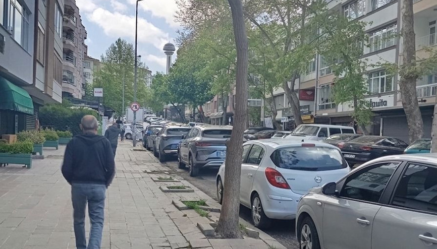 Yeşeren her dal farkındalık için