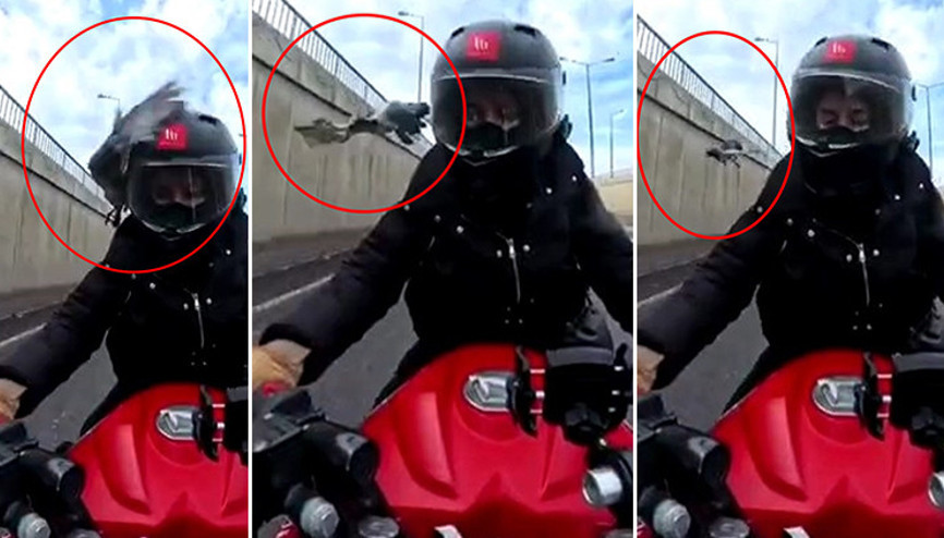 Seyir halindeki motosiklet sürücüsü neye uğradığını şaşırdı