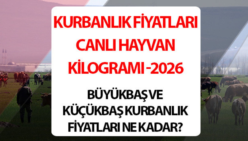 KURBANLIK FİYATLARI 2026 - CANLI HAYVAN KİLOGRAMI (KÜÇÜKBAŞ BÜYÜKBAŞ) | İstanbul ve diğer illerde kurbanlık fiyatları ne kadar, kaç TLden başlıyor Migros fiyatları duyurdu... Koyun, koç, dana, sığır kurbanlık fiyatları listesi 2026 KURBANLIK FİYATLARI 2026 - CANLI HAYVAN KİLOGRAMI (KÜÇÜKBAŞ BÜYÜKBAŞ) | İstanbul ve diğer illerde kurbanlık fiyatları ne kadar, kaç TLden başlıyor Migros fiyatları duyurdu... Koyun, koç, dana, sığır kurbanlık fiyatları listesi 2026