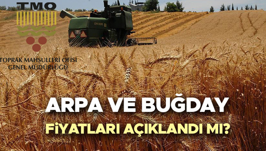 TMO BUĞDAY FİYATLARI 2026 GÜNCEL | 2026 Buğday fiyatları ne olur Arpa ve buğday fiyatları açıklandı mı, ne zaman açıklanacak, kaç TL olacak Hububat, arpa ve buğday alım fiyatı son durum TMO BUĞDAY FİYATLARI 2026 GÜNCEL | 2026 Buğday fiyatları ne olur Arpa ve buğday fiyatları açıklandı mı, ne zaman açıklanacak, kaç TL olacak Hububat, arpa ve buğday alım fiyatı son durum
