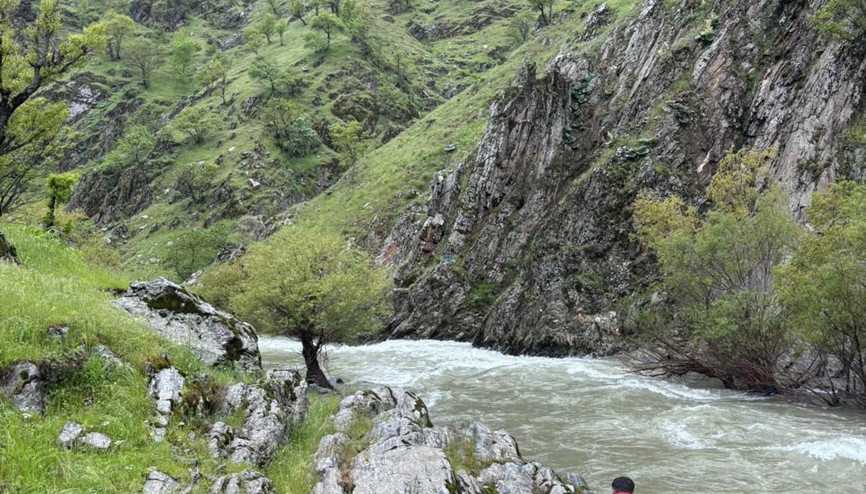 Muş’ta çaya düşen kadını arama çalışmaları sürüyor