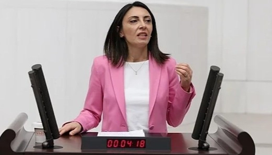 Nurhayat Altaca Kayışoğlu kimdir, nereli, kaç yaşında CHP Milletvekili Nurhayat Altaca Kayışoğlunun biyografi bilgileri
