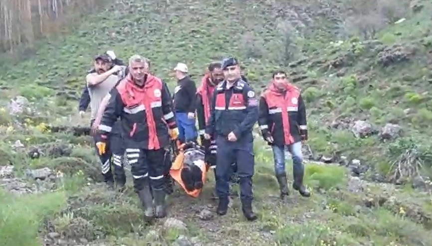 Sivasta mantar toplarken ayı saldırısında yaralandı