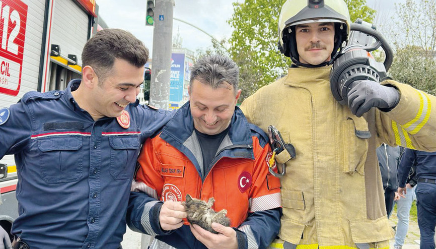 İstanbul İtfaiyesi’nden yavru kedi operasyonu İstanbul İtfaiyesi’nden yavru kedi operasyonu