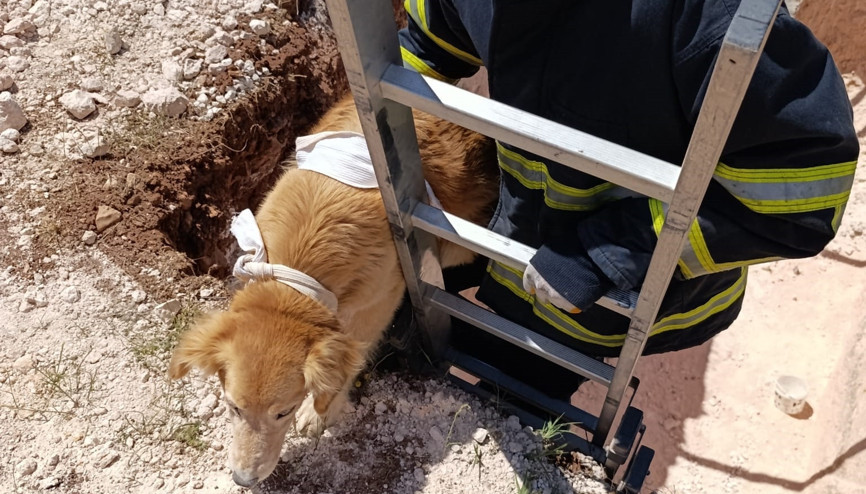 Mardin’de inşaat çukuruna düşen köpeği itfaiye kurtardı