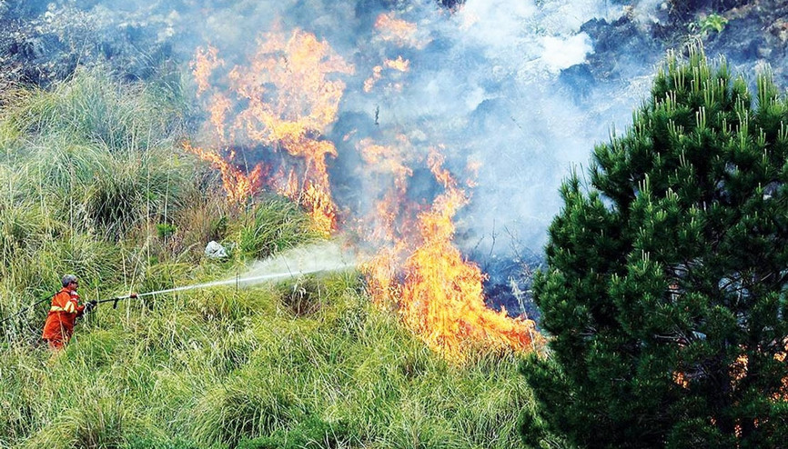 Ormancılardan ‘El Nino’ uyarısı