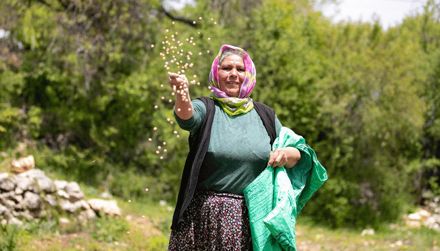 Mersinde atalık tohumlar toprakla buluşuyor