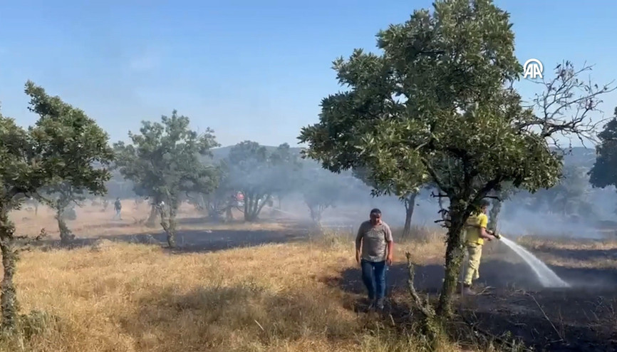 Çanakkalede zirai arazi yangın