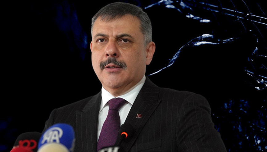 Bu illerde yüzde 100ü toplandı | Bakan Çiftçi tarih verdi: Sokak hayvanı sorunu bitecek