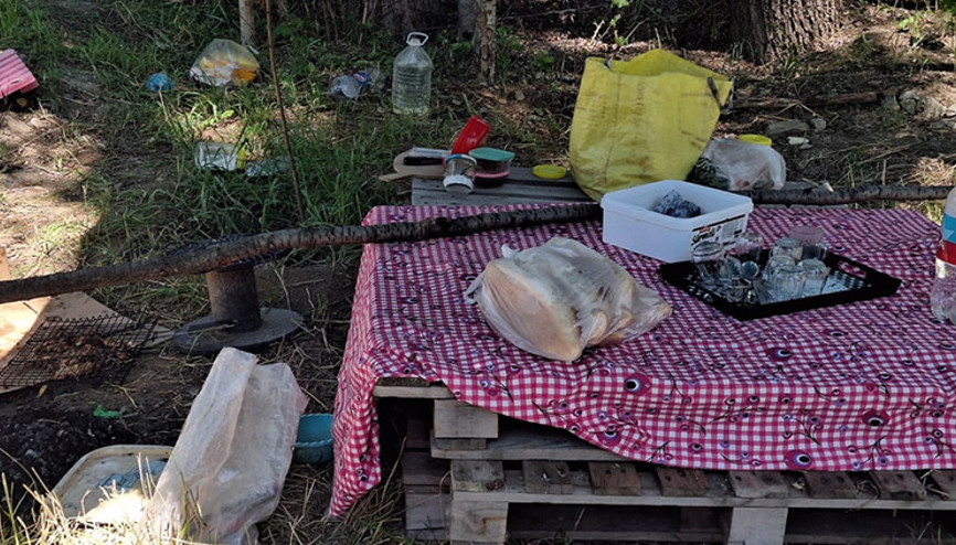 Ankara’da piknik keyfi cinayete döndü Tartıştığı eşini bıçaklayarak öldürdü