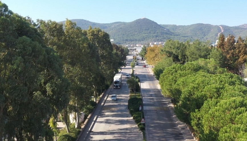 ESBAŞ 8 bin ağaç kurtardı