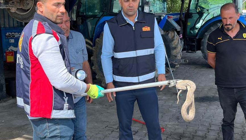 Vinçle kaldırılan otomobilin motor bölümündeki yılan çıkarıldı