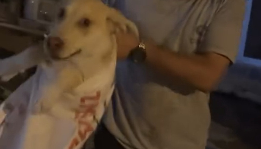 Çuvala koyulan köpeği, hayvansever kadın kurtardı