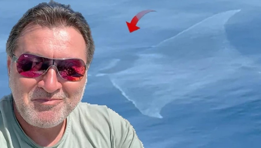 Çanakkalede 2 metre uzunluğunda şeytan mantası görüldü