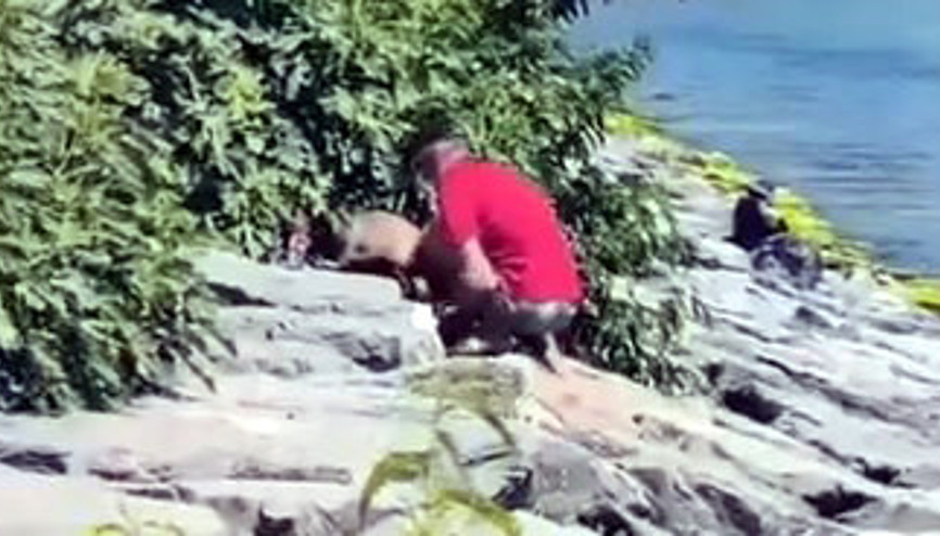 Avcılar Sahili’nde köpeğe şiddet kamerada